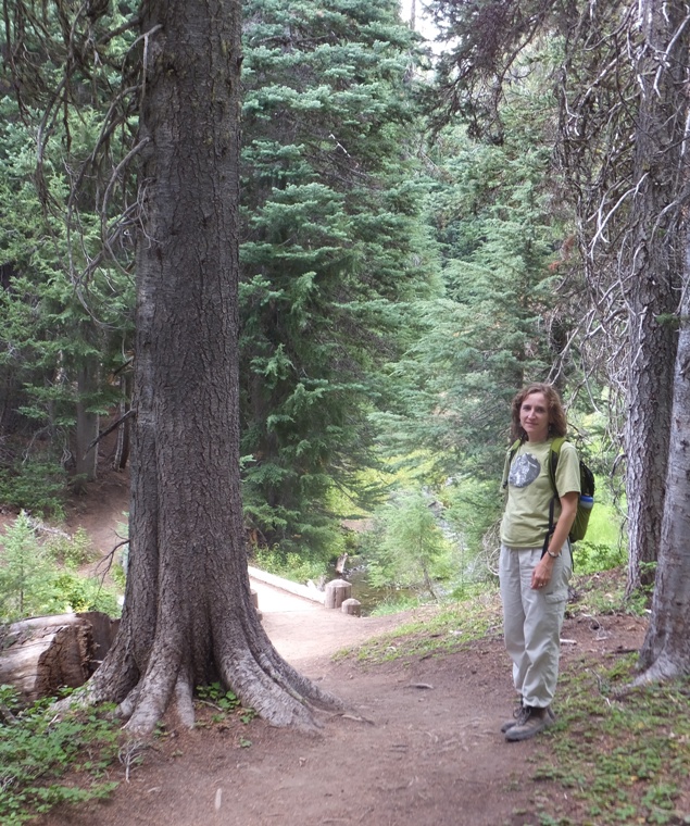 Norma on the trail