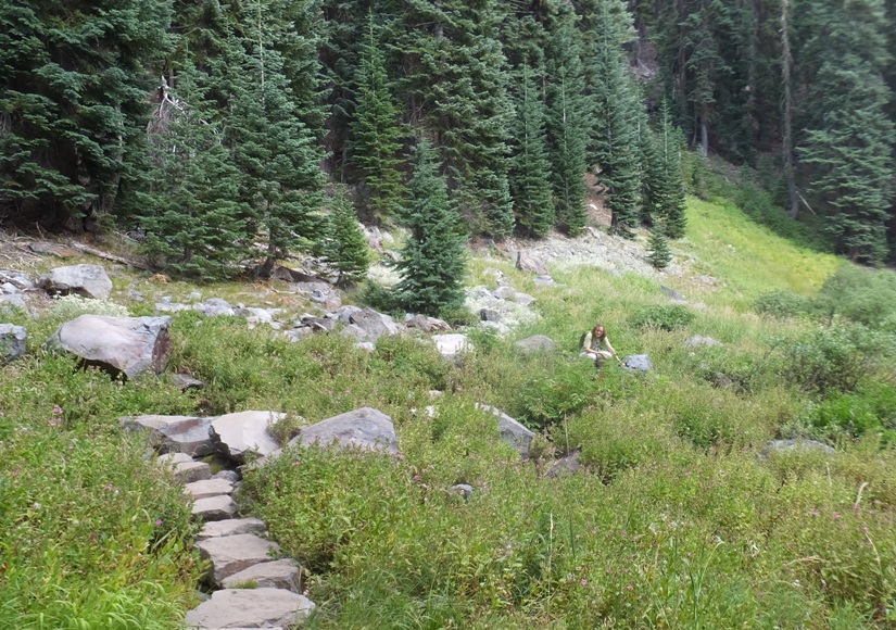 Norma among greenery and rocks