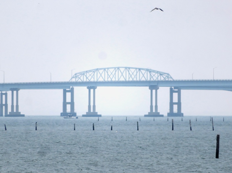 Chesapeake Bay Bridge-Tunnel and pelican in flight