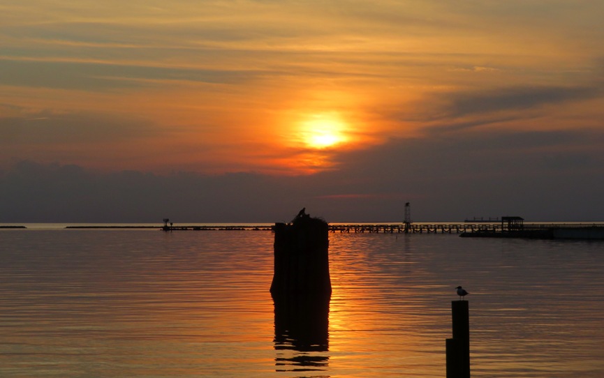 Sunset with osprey nest on pile in foreground