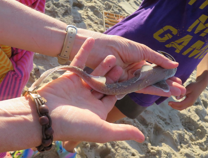 Norma holding a small shark