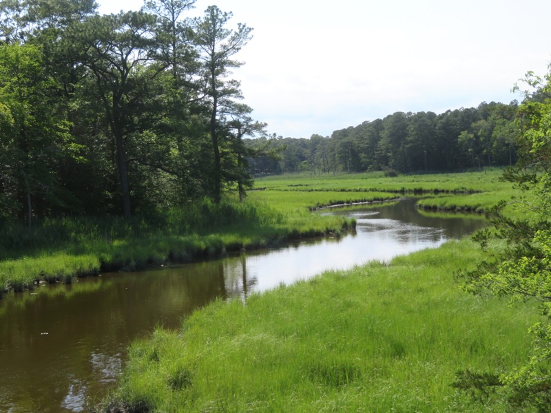 Scenic, grass-lined waterway called Munchy Branch