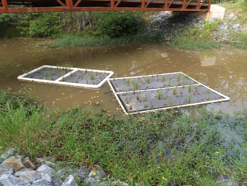 Plants on floating frames