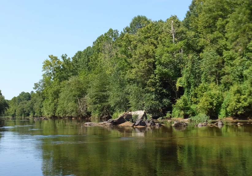 Natural scenery along the river