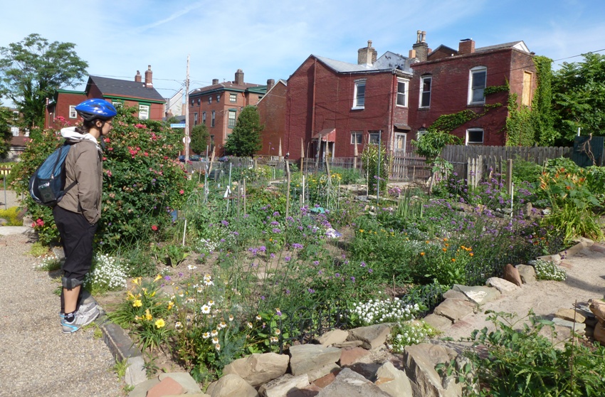 Carmen at community garden