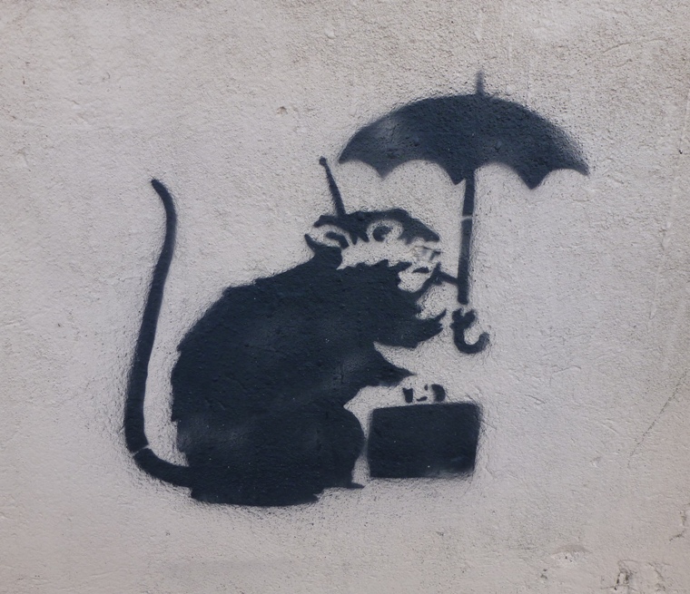 Image of rat holding an umbrella