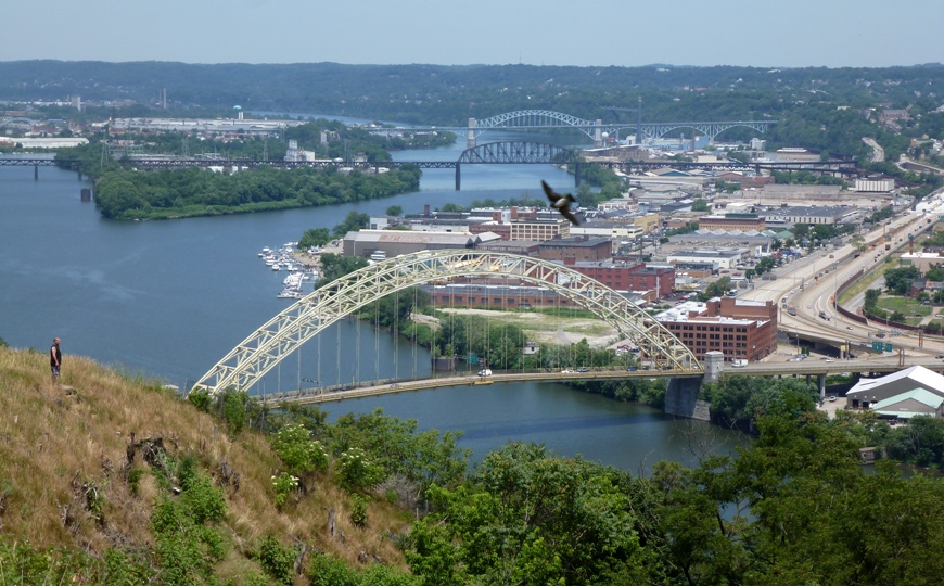 Man on hill, bridges, and big bird in flight