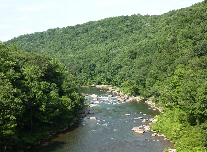 High view of the tree-lined Youghiogheny River