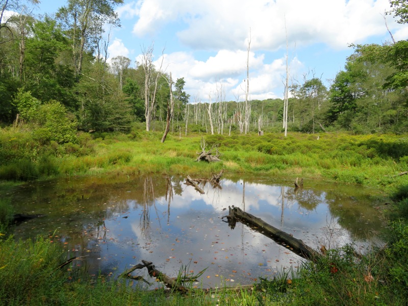 View from the Watchable Wildlife Area