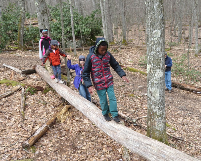 Kids walking across a log