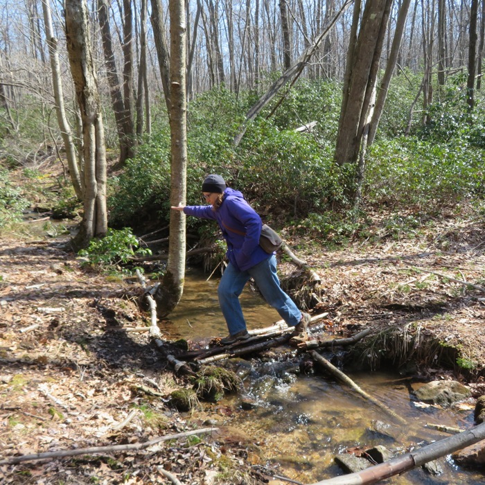 Norma crossing a stream