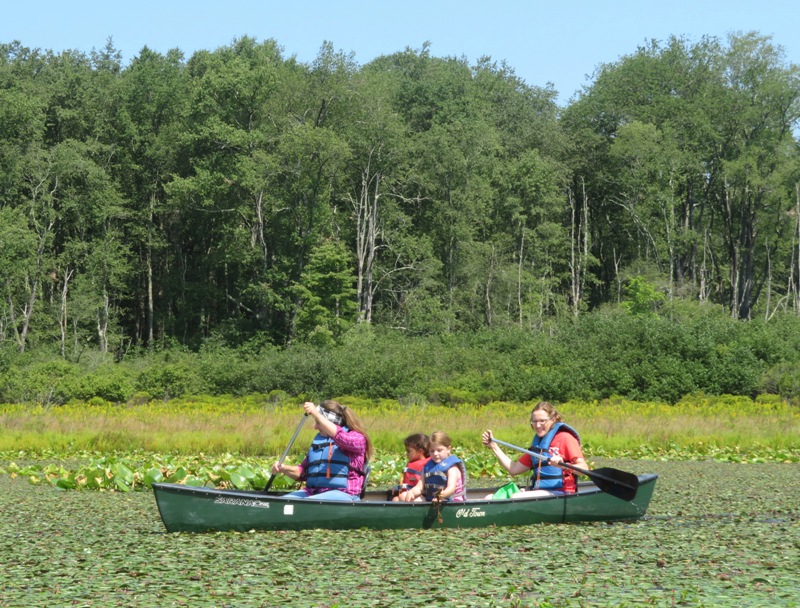 Paddling through watershield