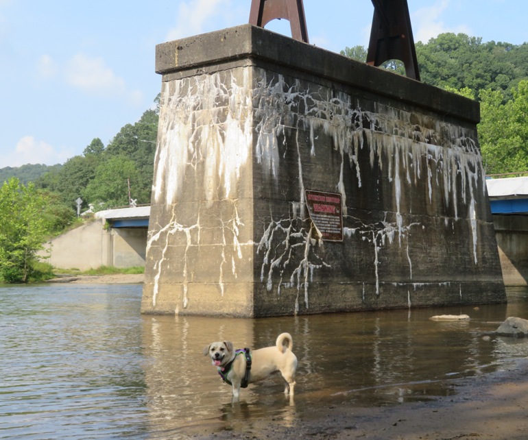 Daphne in front of bridge support