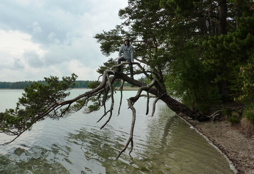 Me in tree above the water