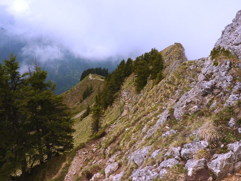 Steep view looking downhill