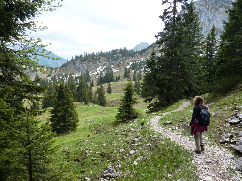 Norma on trail with patches of snow ahead