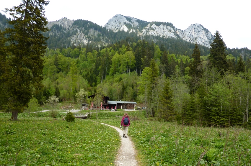 Norma walking on gravel road to Diensthaus