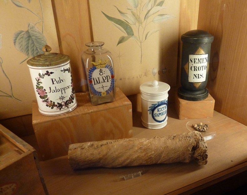 Pharmacy display showing container of ba dou