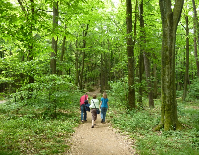 Eric, Beate, Norma walking on wooded trail