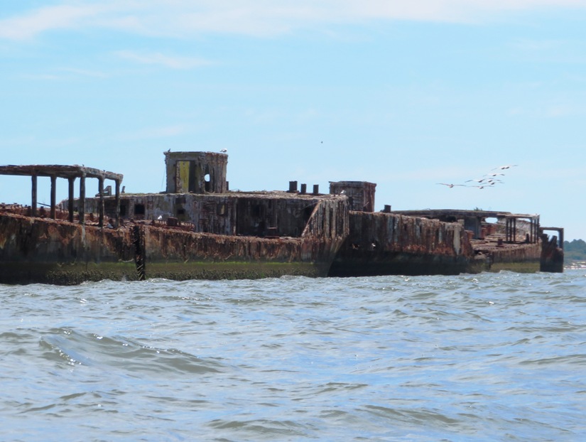 Pelicans in flight over weather-beaten side of concrete ships