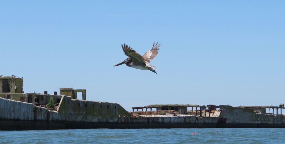 In flight with concrete ships in background