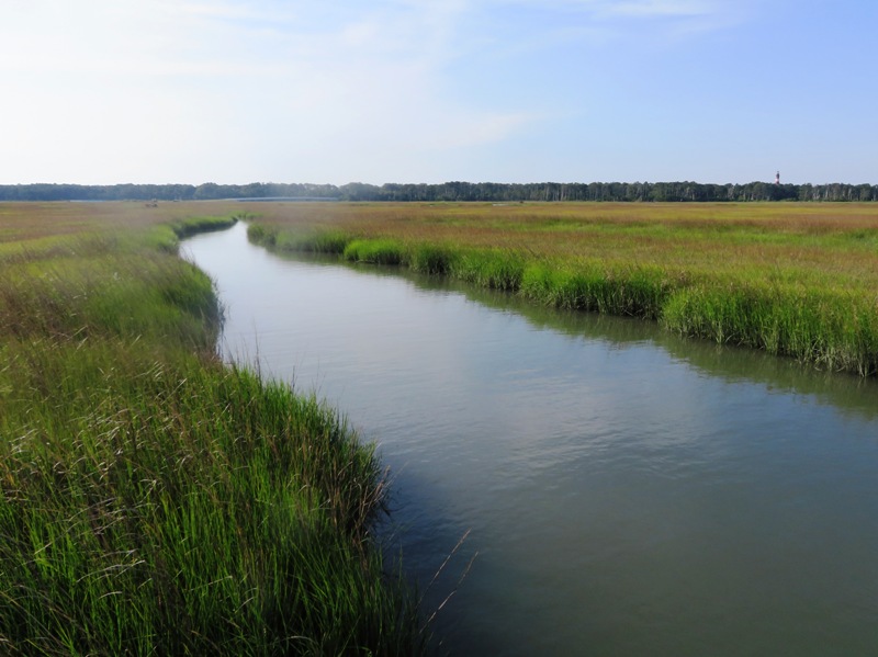 Looking east from launch site.  Mostly just grasses