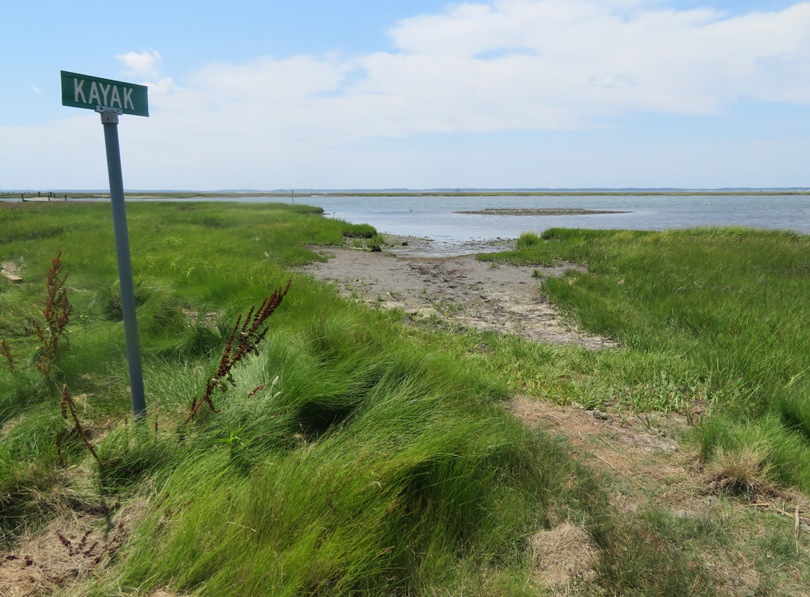 Muddy launch site with street sign that says 'kayak'