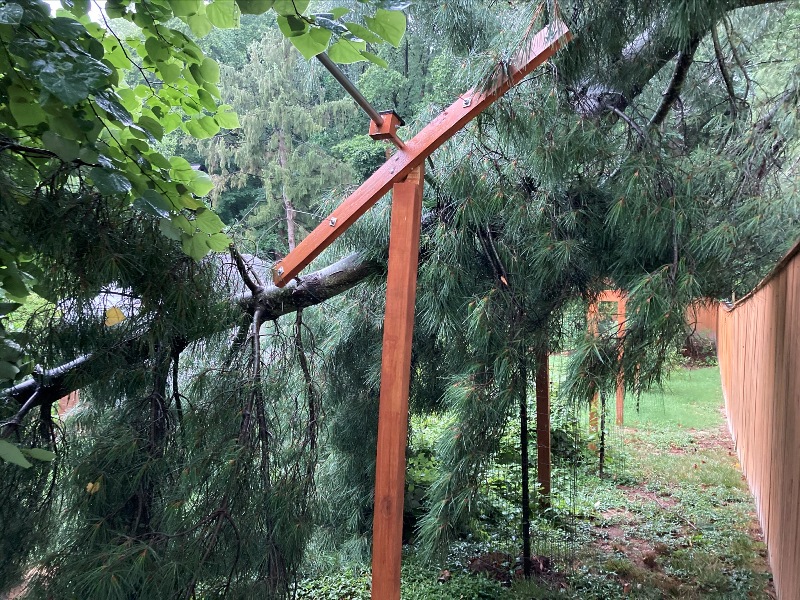 Broken trellis post