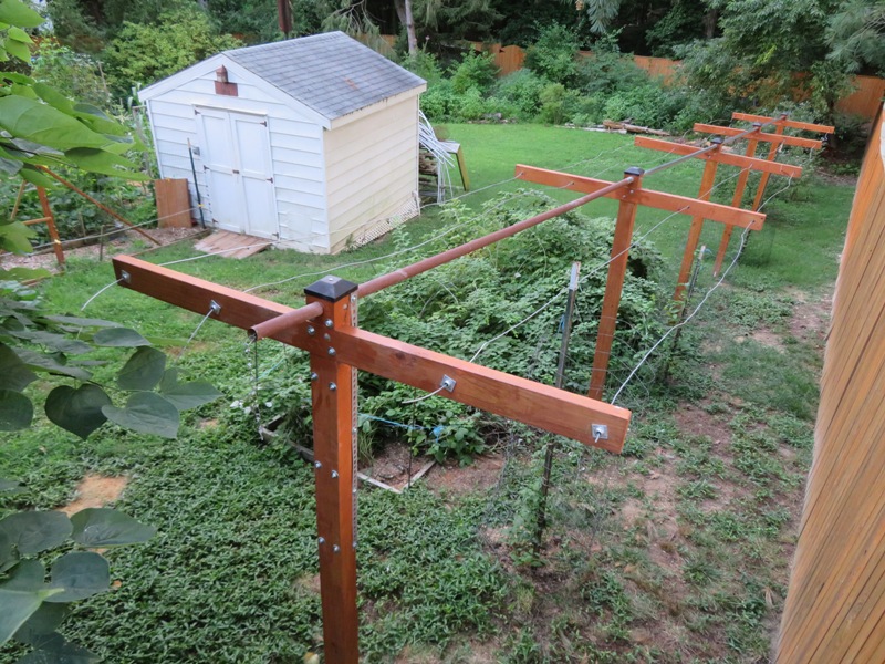 View of final result with shed in background