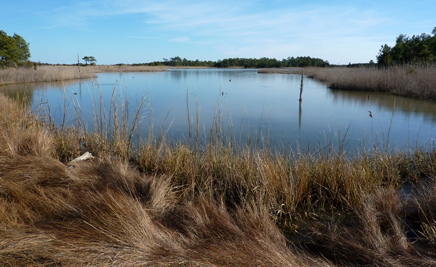 Gordons Pond