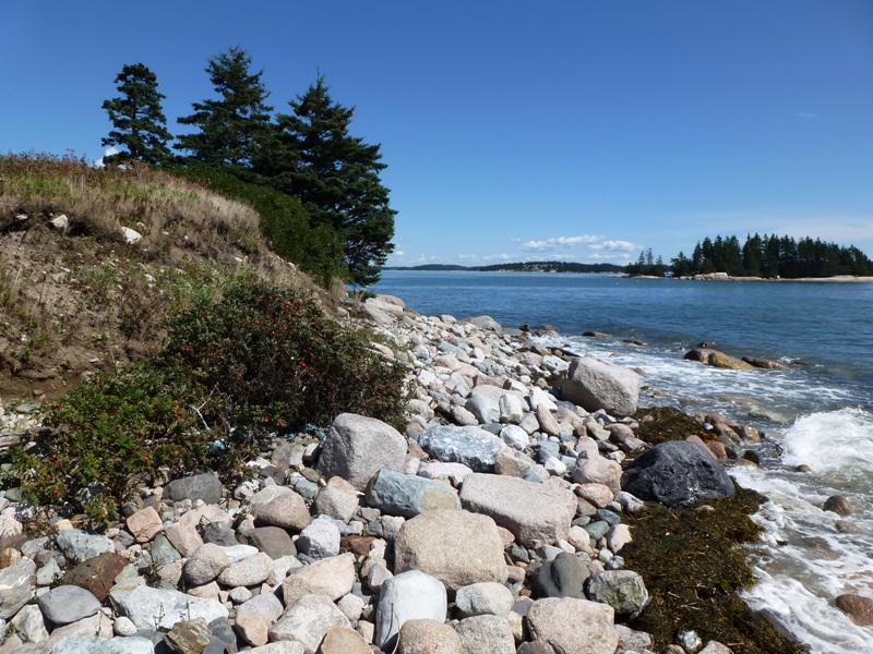 Rocks on shore