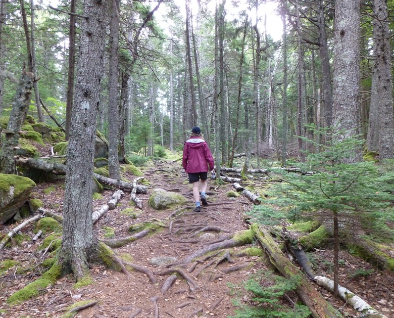 Norma walking on trail with lots of roots