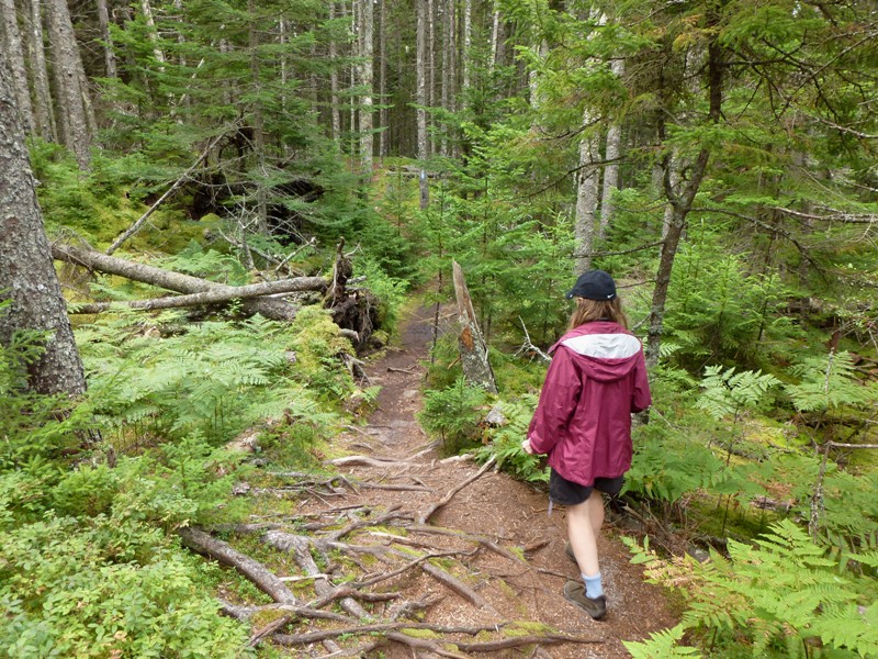 Norma walking on fern-lined trail