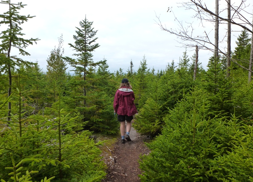 Norma walking in an area resembling a Christmas tree farm