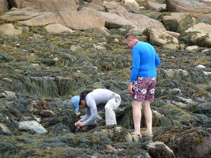 Me crouched low to take a photo in a tidepool with Vince watching