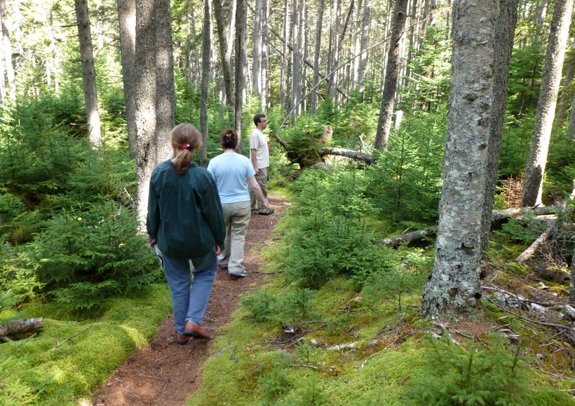 Bowen, Kellie, and Norma on trail