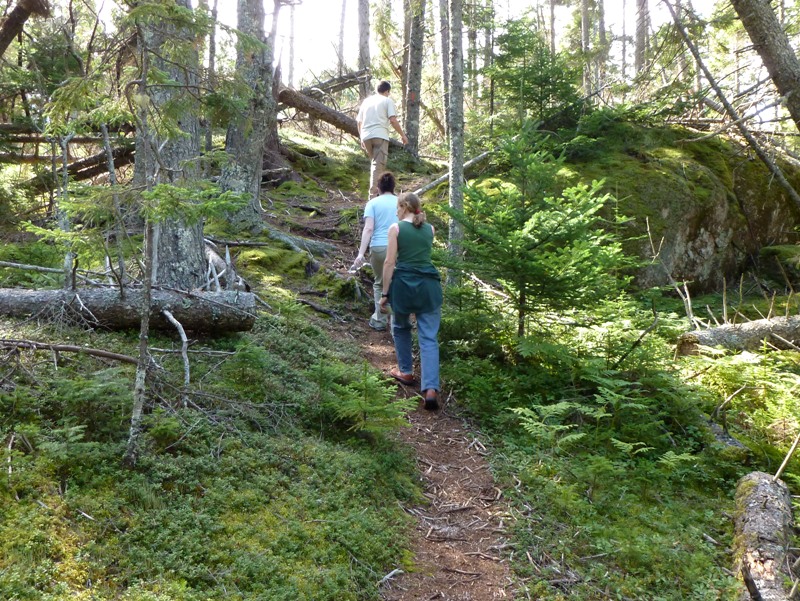 Bowen leading Kellie and Norma up a hill on the trail