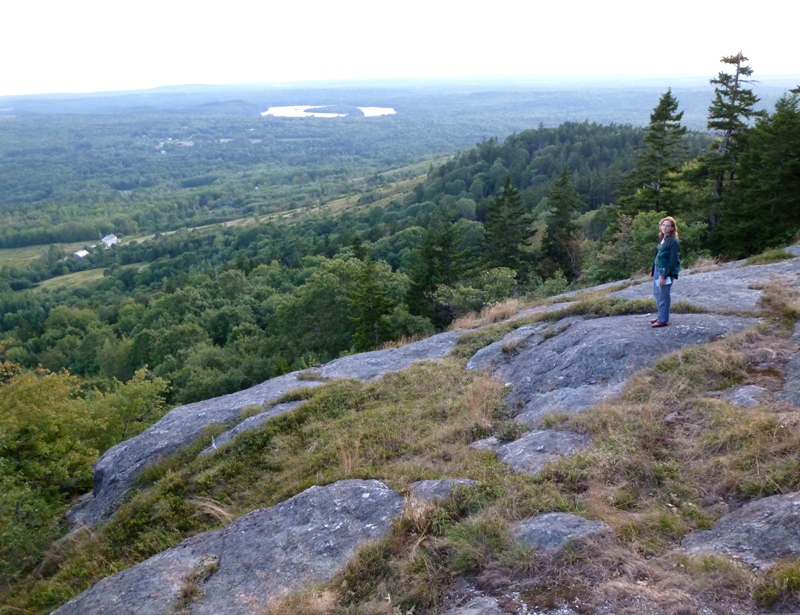 Norma on rocky surface