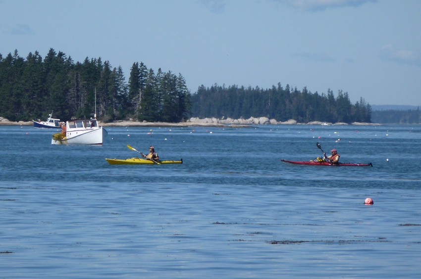 Two kayakers out on the water