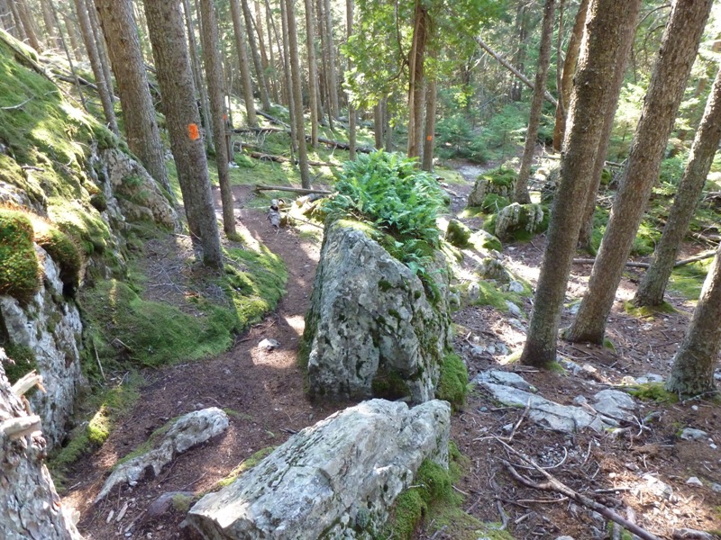 Big rocks by orange-blazed Summit Trail