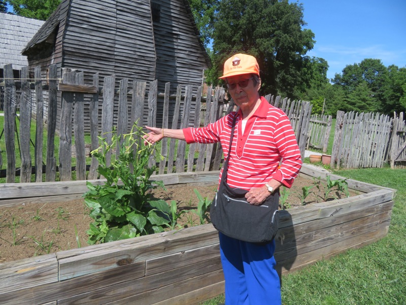 Mom with flowering tobacco plant