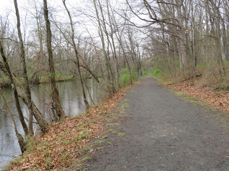 The Kingston Branch Loop Trail in the Preserve