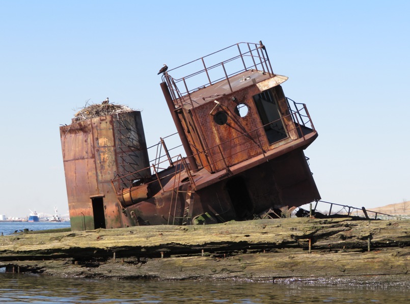 This ship has become a home to ospreys