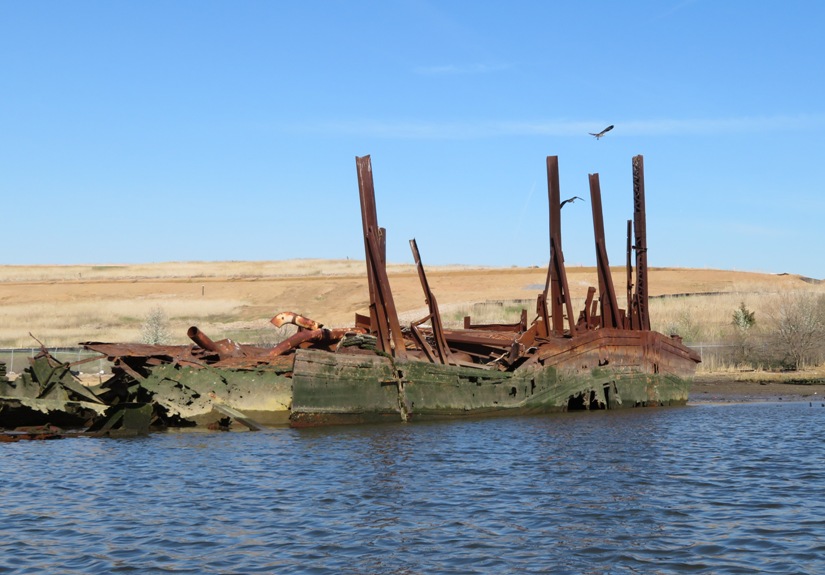 Two ospreys in flight above wreck