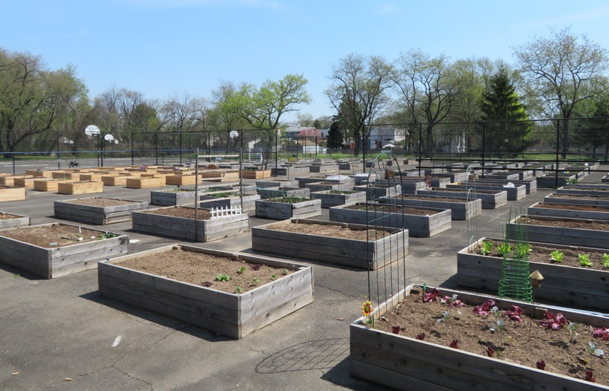 Adams Hollow Community Garden