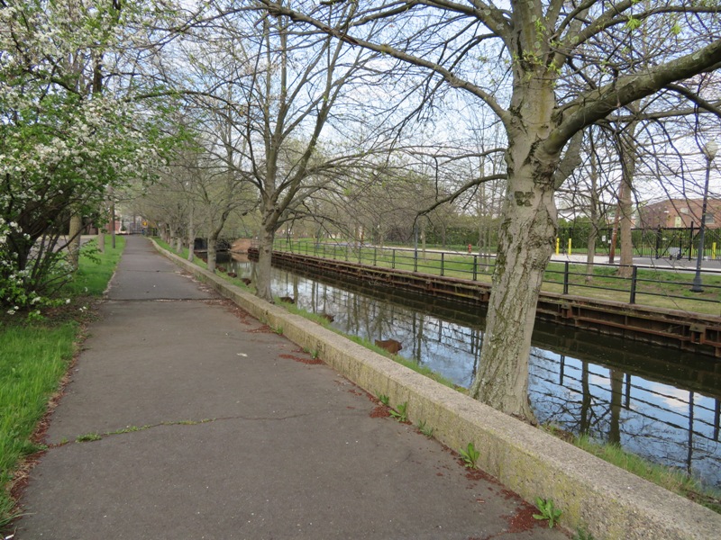 Trees, paved trail, and canal