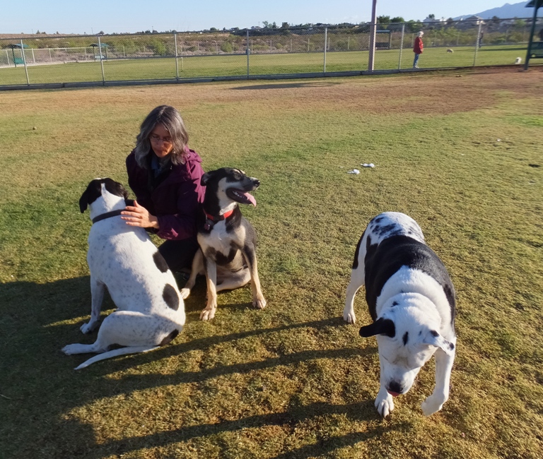 Carmen with three dogs