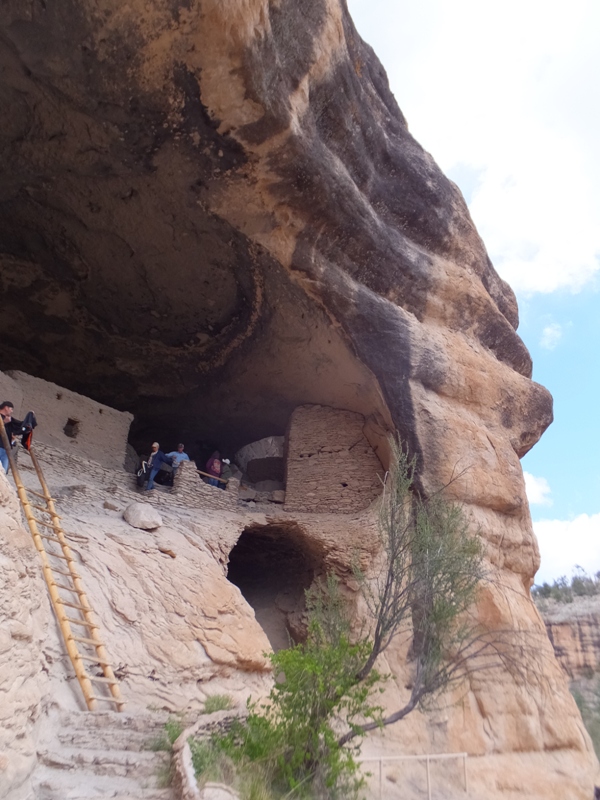 One needs a ladder to get to these dwellings