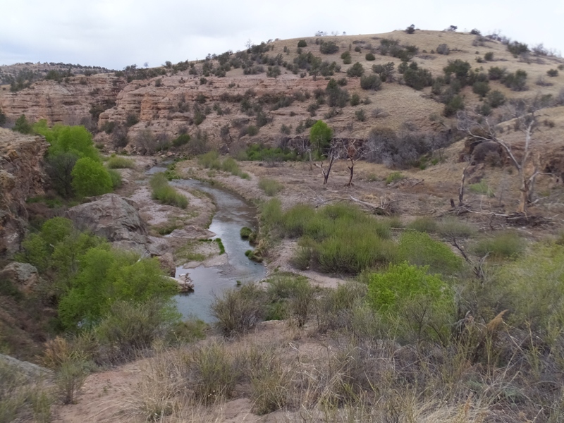 Middle Fork of the Gila River