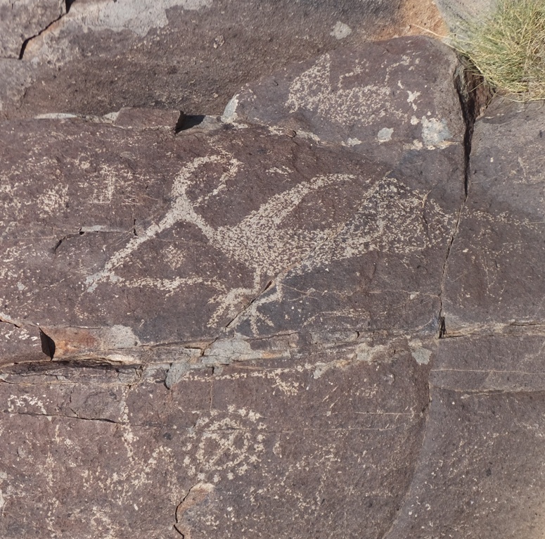 Petroglyph of pterodactyl